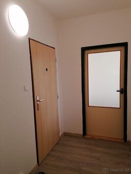 Nabízím k pronájmu slunný byt 1+1 45m2 v klidném domě v Česk