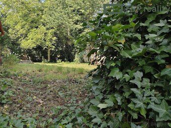 Interesting property for investors! This offer will interest