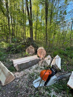 I offer work with sawmill equipment I have my own sawmill for felling trees, prosthetics…