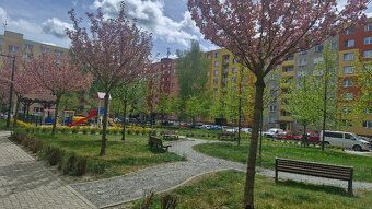 Pronájem bytu 1+1, na ulici Horní. Byt je ve 4 NP v domě s v