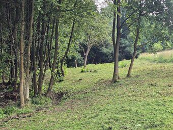 Peace, nature, privacy. A place where you're alone with yourself.