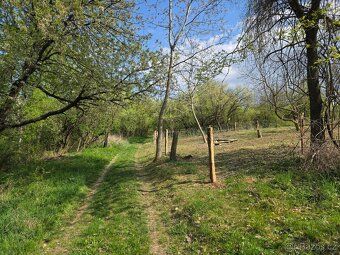 Prodám slunnou zahradu o výměře 408 m² v obci Újezdec u Osvě
