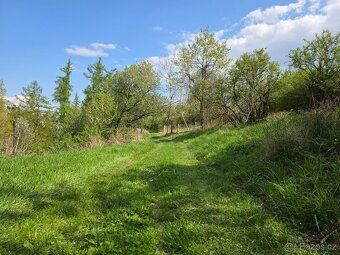 Prodám slunnou zahradu o výměře 408 m² v obci Újezdec u Osvě