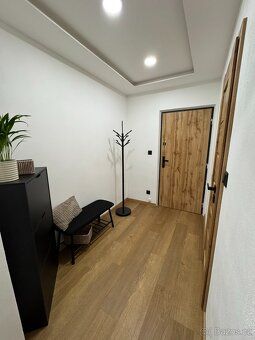 We would like to introduce you to a completely renovated apartment 2+