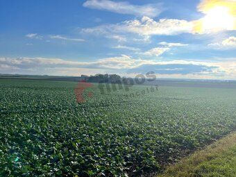 I present an investment opportunity in the form of buying land