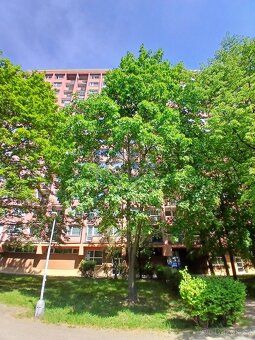 Ev.č. 01619 Nabízíme k prodeji prostorný byt o dispozici 4+1