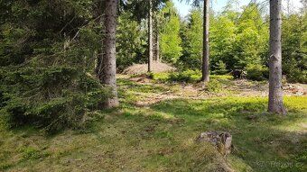 We offer you two plots of land for sale near Frýdava