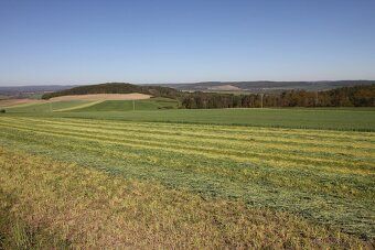 We offer for sale an agricultural homestead in the village of Nové Dvory-Kr