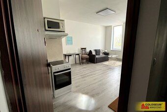 Ev.č. 5435L005 Nabízíme k pronájmu krásný, slunný a atypický