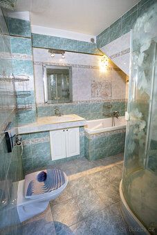 Sale of villa in spa town Dubí near Teplice.