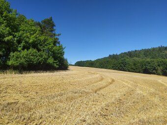 I am offering for sale land lot No. 459/15 with an area of 9,340 m2, cadastral district