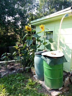 Garden plot for sale (READ CAREFULLY! REPETITION IS ELIMINATED- WHAT IS IN THE TEXT.) I sell a…