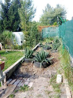 Garden plot for sale (READ CAREFULLY! REPETITION IS ELIMINATED- WHAT IS IN THE TEXT.) I sell a…