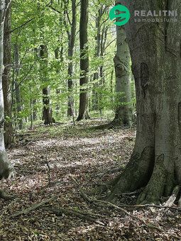 We offer for sale majority shares in forest land located in the cadastral area of Vsetín, municipality Semetín.