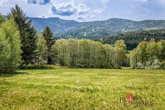Prodej, pozemky/bydlení, 5952 m2, Hamry, Klatovy [ID 84694]
