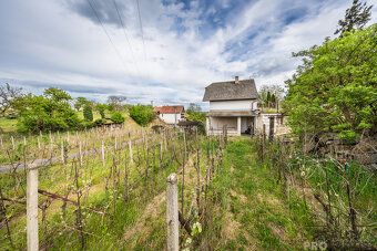 In exclusive representation of the owner I offer for sale a wine cellar with a vineyard in a…