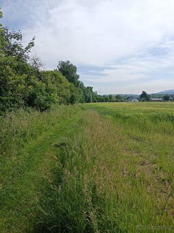 Nabízíme k prodeji pozemek – orná půda o rozloze 5617 m2 v k