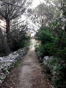 For sale is a high quality built house of 430 m² with garden