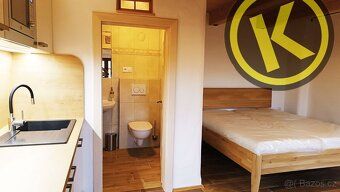 We offer for rent a new 1+kk apartment or studio in an elevated ground floor of a renovated historic building.