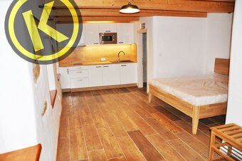 We offer for rent a new 1+kk apartment or studio in an elevated ground floor of a renovated historic building.