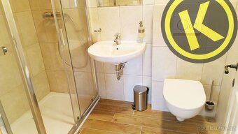 We offer for rent a new 1+kk apartment or studio in an elevated ground floor of a renovated historic building.