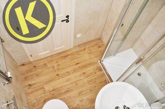 We offer for rent a new 1+kk apartment or studio in an elevated ground floor of a renovated historic building.