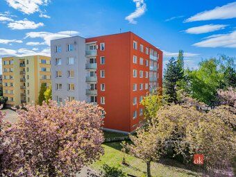 Pronájem, byty/1+kk, 33 m2, Vysocká 553/3, 50011 Hradec Král