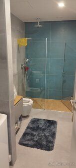 Rent beautiful sunny apartment on the edge of Vinohrady and Strašnice in new emerging district Hagibor-Gamma.