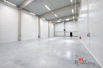 Rental, commercial/offices, 444 m2, Vinohradská St., Brno City District [ID 84499]