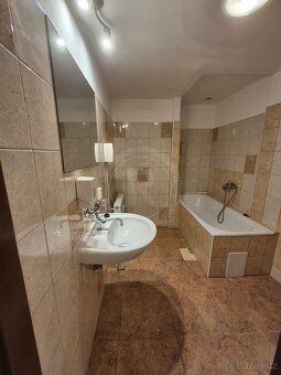 We offer for rent non-residential space - shop, business premises - 