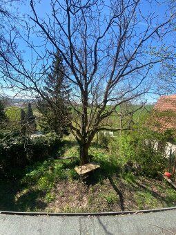 Long-term rental of garden in Brno-Bosonohy 550 sqm.