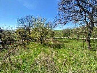 Long-term rental of garden in Brno-Bosonohy 550 sqm.