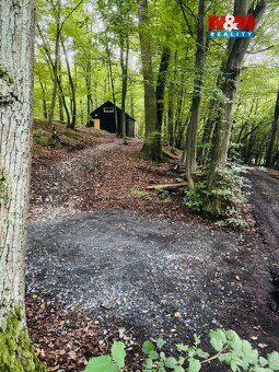 Sale of enchanted modern cottage in the forest - perfect escape for a couple