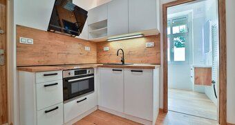 Kompletně zrekonstruovaný, energeticky úsporný a luxusně zař