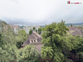 +služby 4000,-Kč( voda, topeni) elektřina a plyn si nájemník