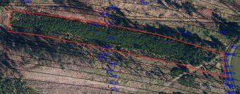 Les Černovice u Tábora - 15.8. - 14:07 Prodám lesní pozemek 