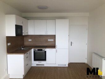 We offer an investment opportunity for sale in the village of Skořenice, 