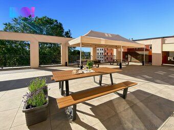 Looking for offices where you can start your business? Or are you looking directly for spaces that will represent you?
