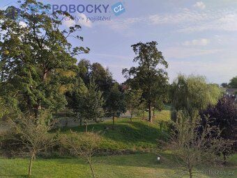 Are you a large family or just looking for a big, spacious and sunny house?