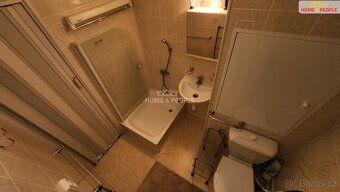Includes utilities fee 5,000 CZK, security deposit 30,000 CZK, rent 16,900 CZK +