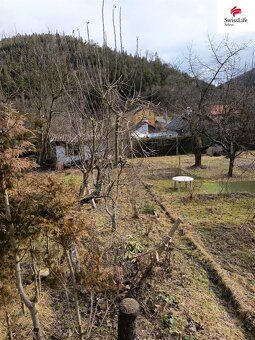 I offer garden with basement cottage in private ownership