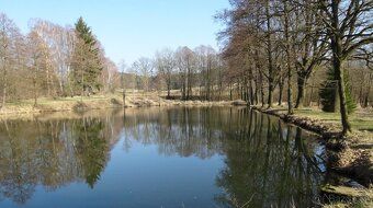 Flat, mostly grassed land (permanent grassland, meadow), on part of the plot there may be also…