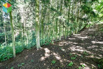 Looking for peace, nature, forest - simply your own place?