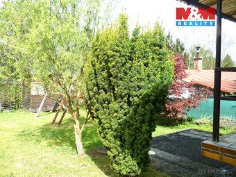 Looking for peace, nature and a place where you can live?