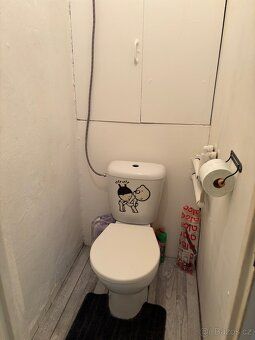Nabízím k dlouhodobému pronájmu prostorný byt 1+1 s balkonem