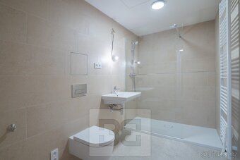 Ev.č. N09207 Nabízíme k pronájmu prostorný a světlý byt o di