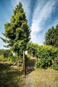 Nabízíme k prodeji zahradu o výměře 1717 m² v klidné části m