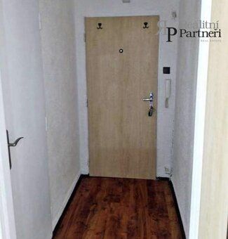 Nabízíme k pronájmu hezký a slunný byt 1+kk , který se nachá