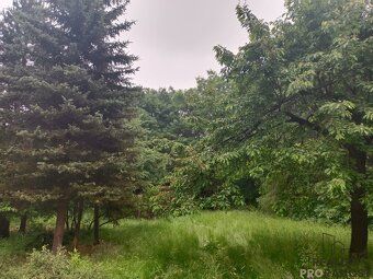 I am offering for sale a plot of land - garden measuring 7000 m2 with a nice two-storey…