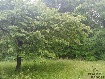 I am offering for sale a plot of land - garden measuring 7000 m2 with a nice two-storey…